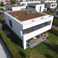 DJI_0063.jpg