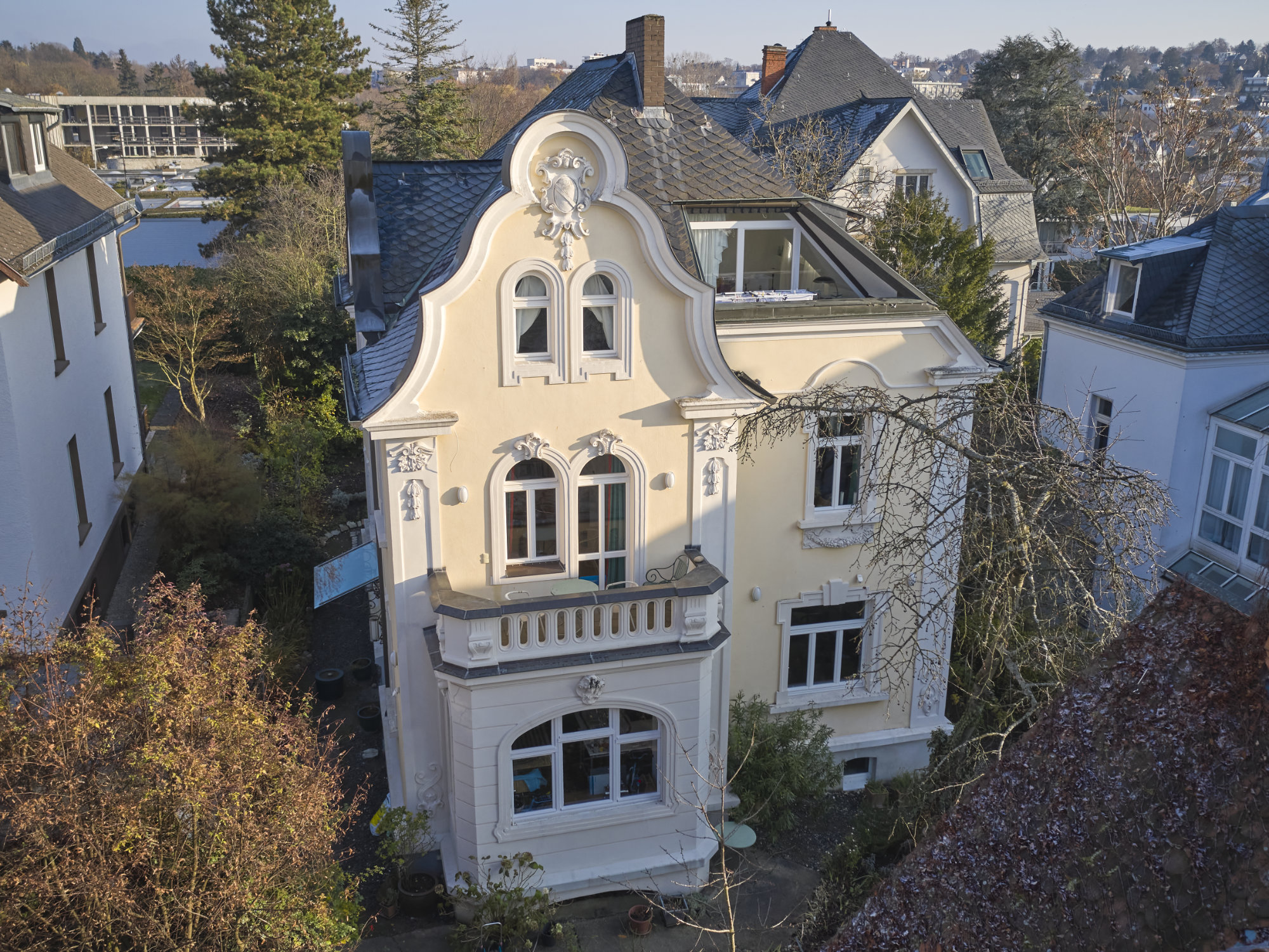 DJI_0101 1.jpg
